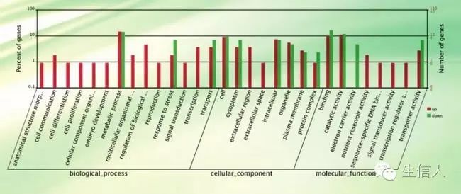 GO数据库简介和使用
