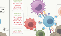 JAMA Oncology |JAMA上纯生信思路！！！