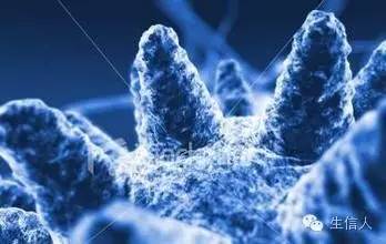 人民日报：微生物组引发研究开发热潮