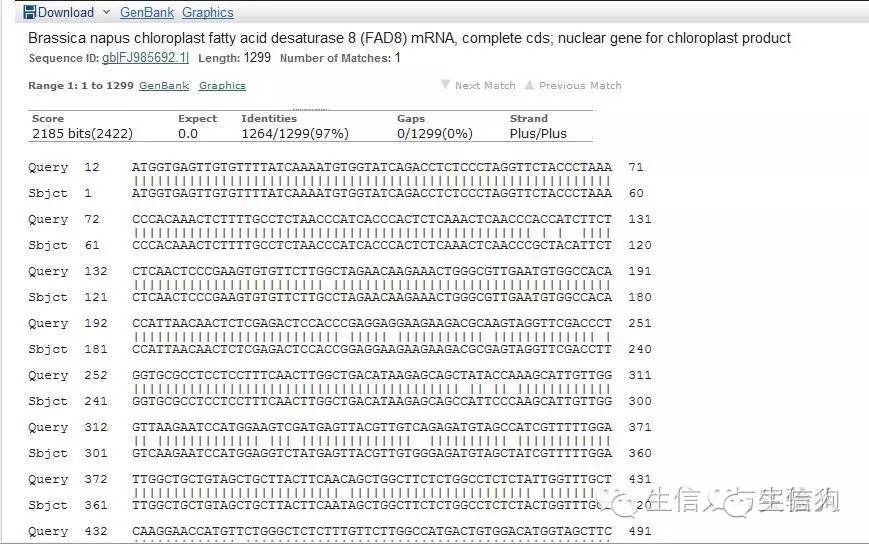 利用NCBI查找基因信息