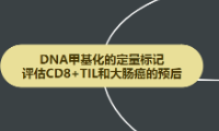 甲基化新思路，评估CD8+TIL和大肠癌的预后