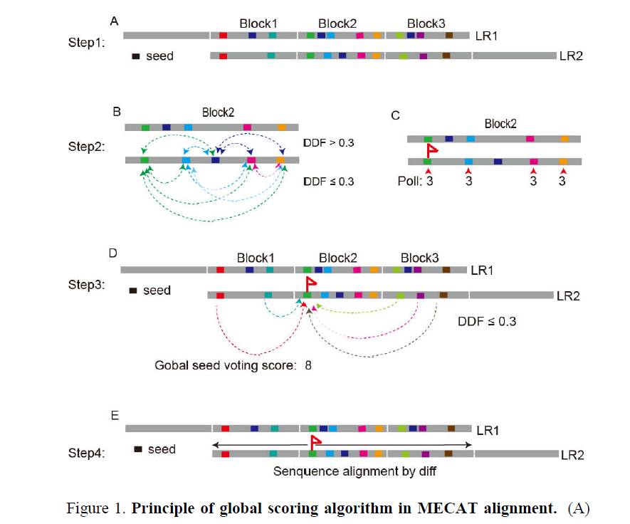 个人PC组装人的基因组