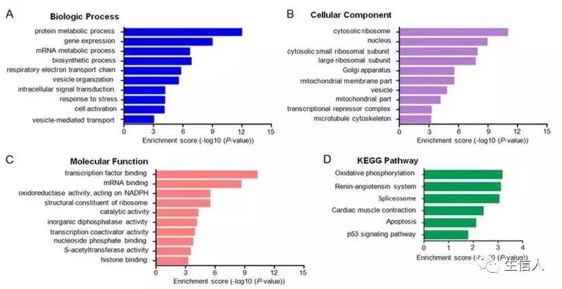 富集分析工具汇总