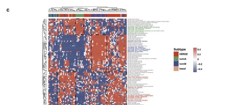 5+单基因泛癌分析详解|EBioMedicine