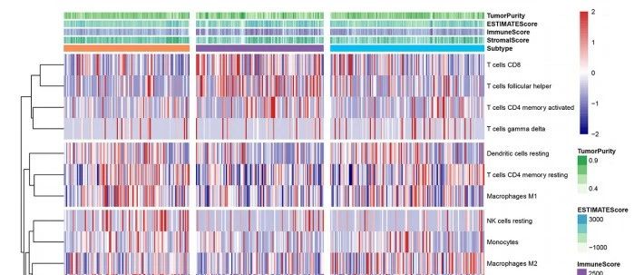 EMT+lncRNA|两个国自然热点，一篇文章搞定