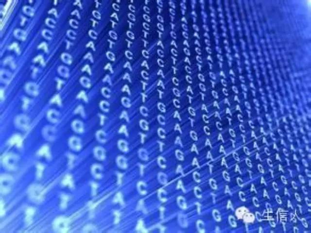 基因预测方法（二）