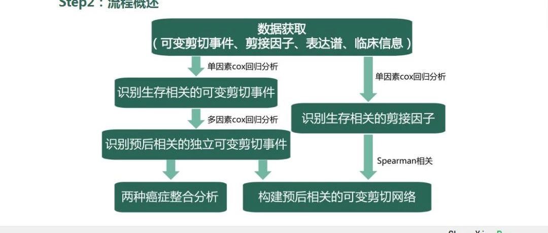 当红纯生信可变剪切课程端午大促三天