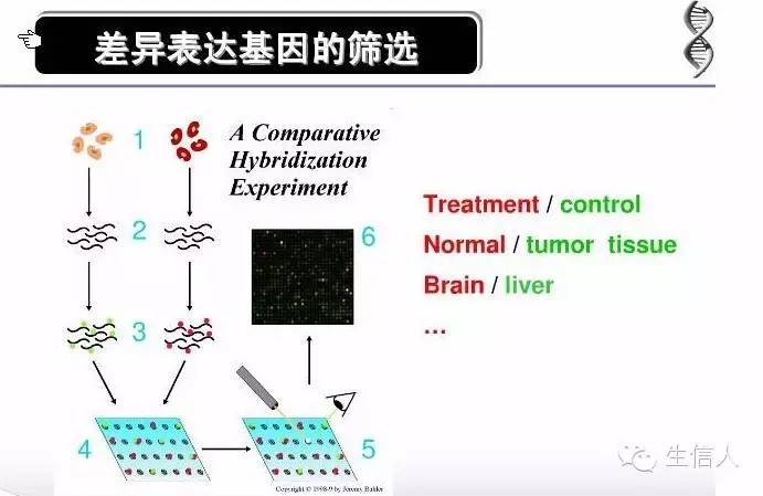 edgeR计算差异表达示例