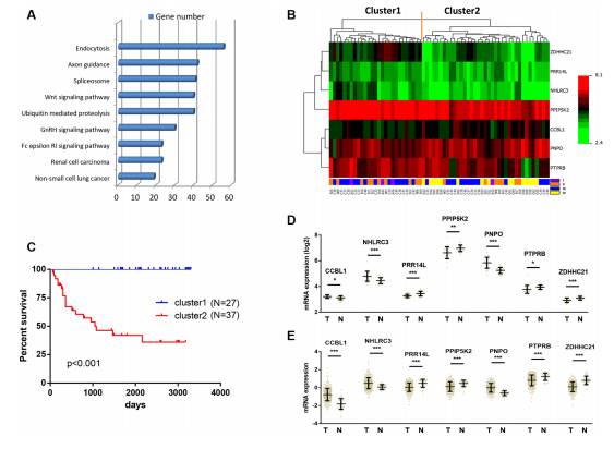 不做实验也发5分文章