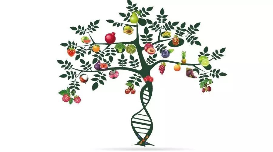 国家重点研发计划农口拟立项项目公示表格