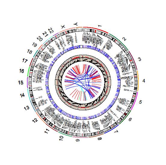 RCricos绘制简单圈图