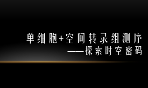 未来已来——单细胞测序联合空间转录组测序（思路篇）