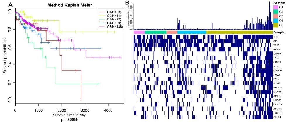 CNV联合lncRNA分析，5+