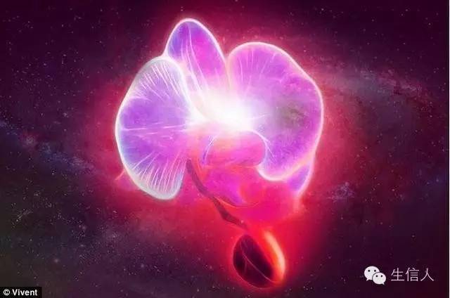 瑞士最新装置可以倾听植物的“窃窃私语”