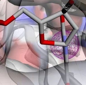 结构生物信息学系列之虚拟筛选