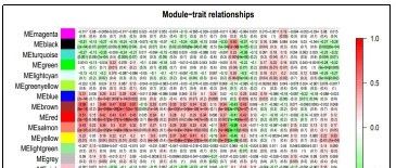 WGCNA图文详解(四)-Module-trait associations图