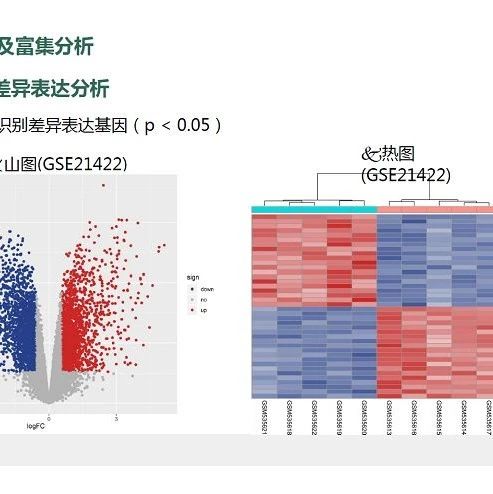 送课咯，免费视频课程领取！！！