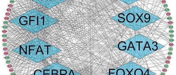 单个预后模型太单薄？lncRNA预后模型+mRNA预后模型，真香！