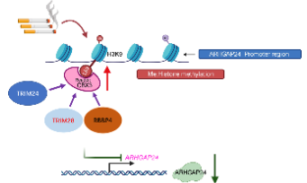 Oncogene|干湿结合又能蹭热点，就这么干！