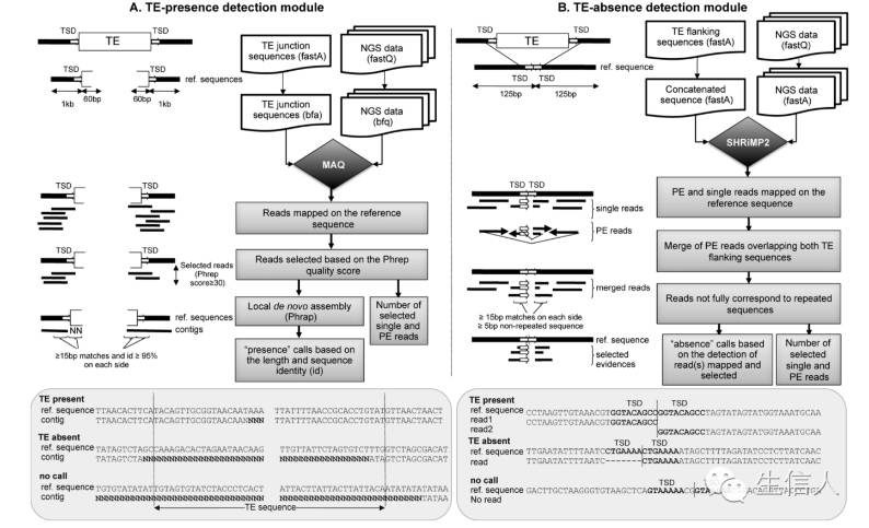 转座子分析软件及用法