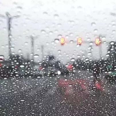 工作以来*树洞