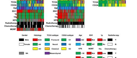 免疫相关的lncRNA（一）