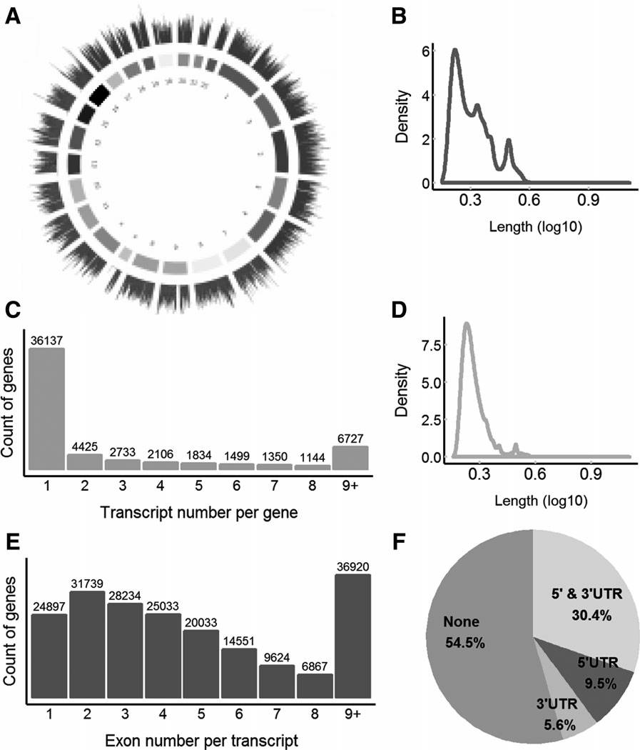 推荐一个软件：GFFview