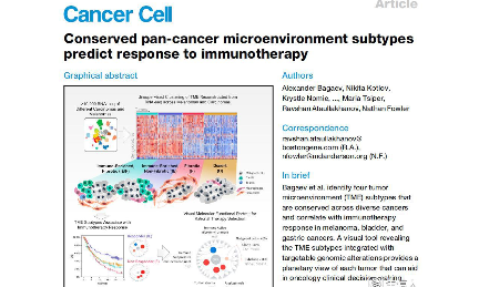 Cancer Cell: 泛癌微环境亚型可预测肿瘤对免疫治疗的应答