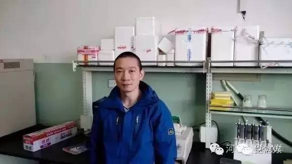 利用NgAgo进行DNA指导的基因组编辑