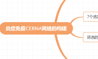 炎症ceRNA网络的构建