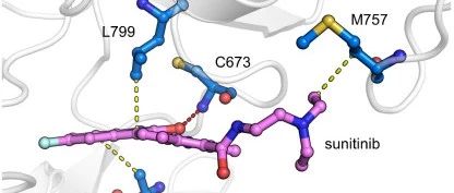 结构生物信息学系列之分子对接（二）