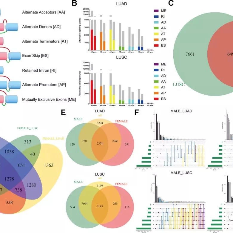 4+AS-lncRNA方案