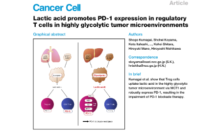 SXR202205028B Spotlight：肿瘤代谢组学与肿瘤免疫治疗（Cancer Cell）