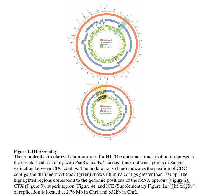 细菌完成图组装软件简单介绍