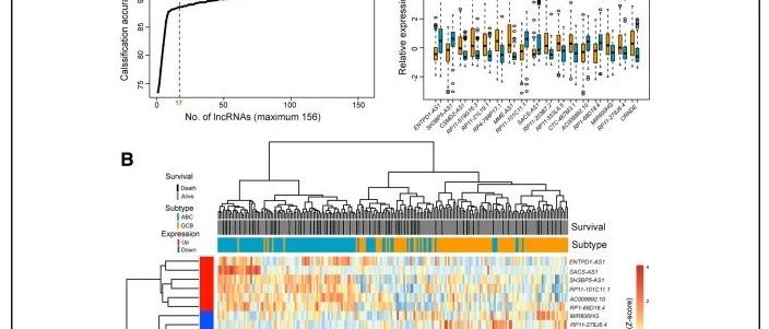 与免疫相关的lncRNA（二）