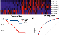 EBioMedicine：肿瘤免疫浸润相关snoRNAs（TIIsno）预测结肠癌患者预后和免疫状况