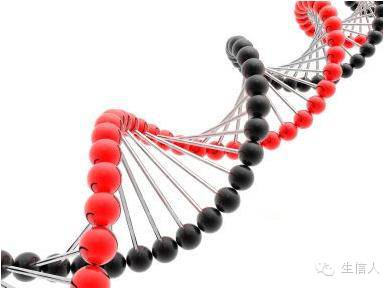 转录组数据比对工具(一)