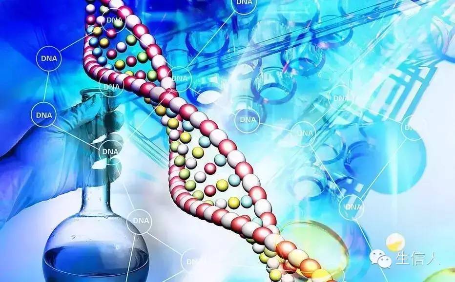 如何寻找上下游基因及基因之间的相互作用关系