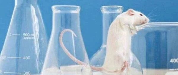 快看，各组学的实验方案，给文章加料！