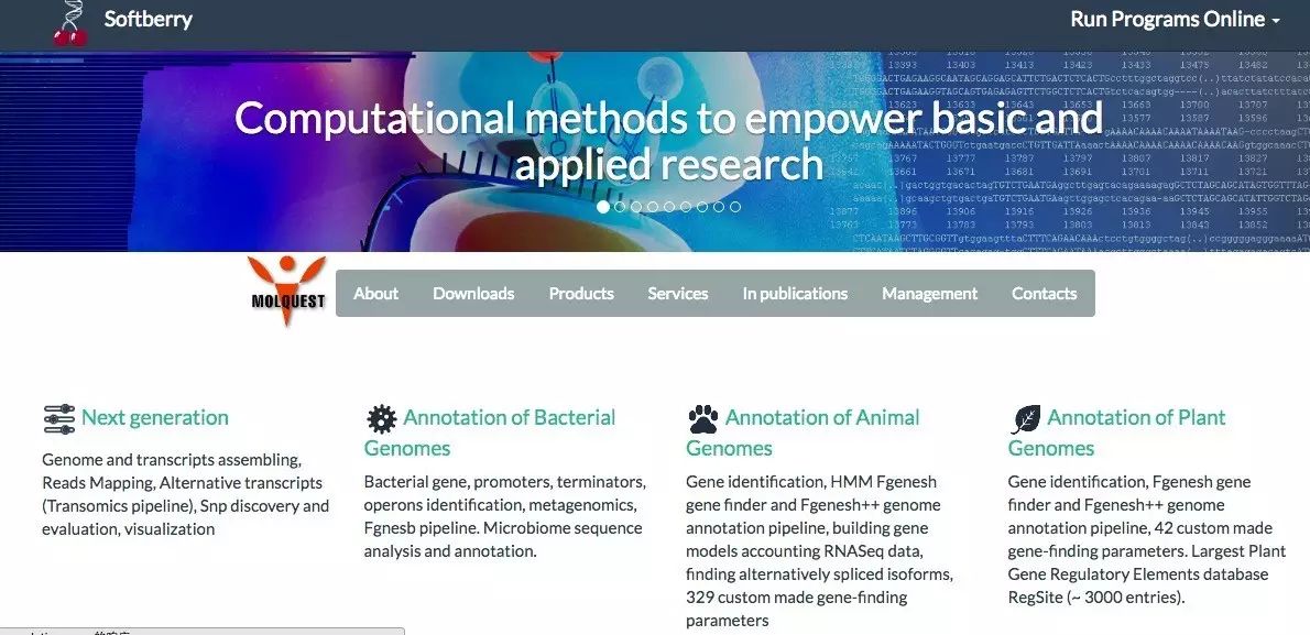 bestorf|一个牛叉的orf预测工具