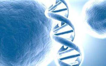 推广：一票难求的盛会