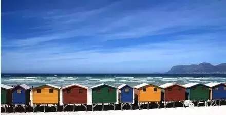 这世界不止眼前的苟且