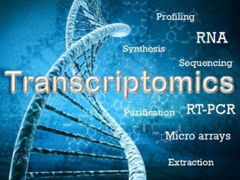 第四届全国计算生物学与生物信息学学术会议