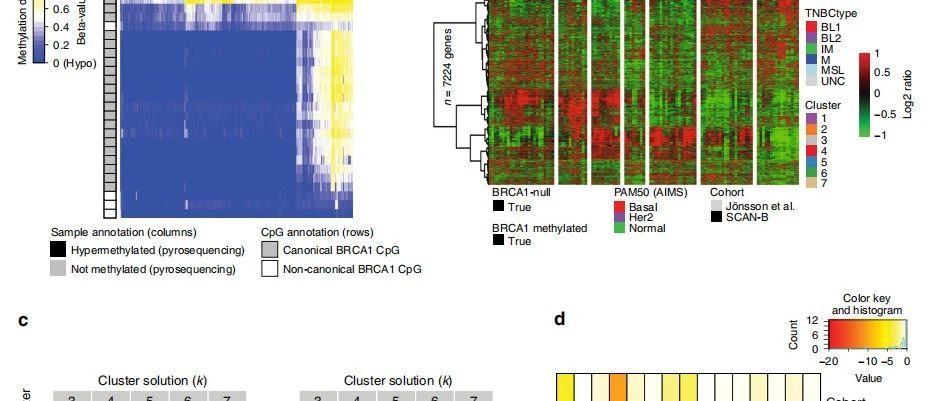 CCR|三阴乳腺癌BRCA1甲基化和突变景观
