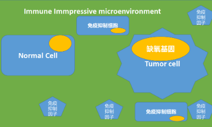 5+ 文章告诉你，缺氧基因如何与免疫相互结合