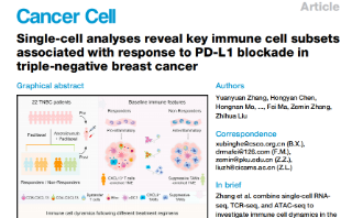 Cancer Cell|单细胞分析揭示了三阴性乳腺癌中与PD-L1阻断反应相关的关键免疫细胞亚群