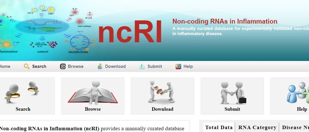 一网打尽实验证实炎症ncRNA