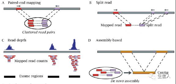 2017生信人获奖名单+CNV软件介绍