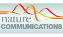 Nature Communications：泛癌中年龄相关多组学数据综合分析