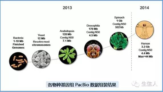 测序技术原理大起底